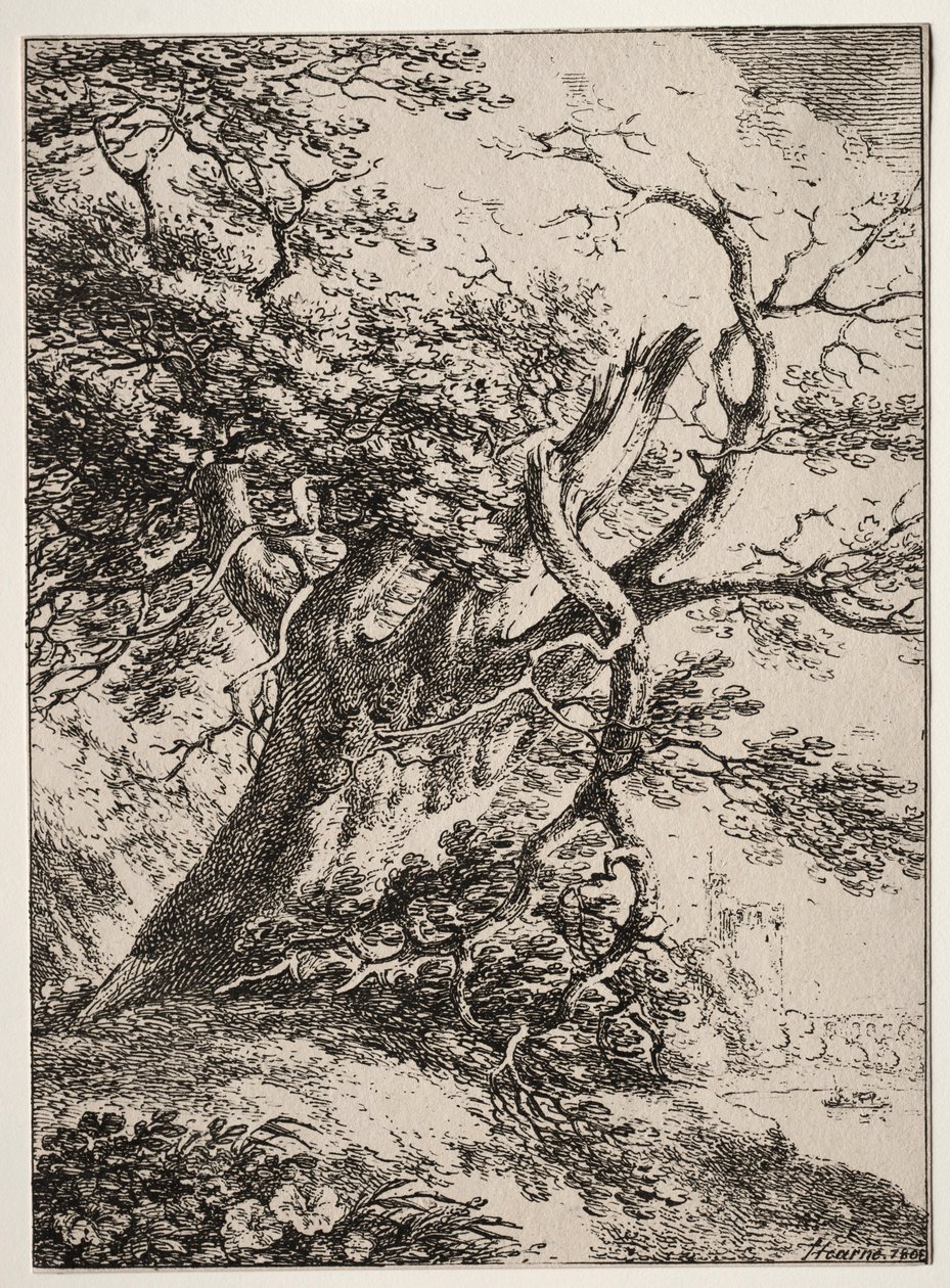 Beispiele der Polyautographie: Landschaft mit einer Eiche von Thomas Hearne