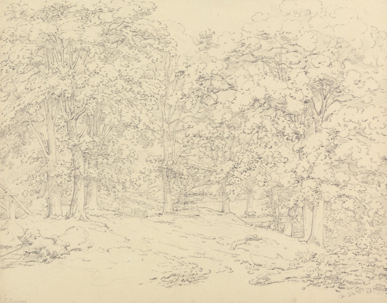 Bäume im Ashtead Park, Surrey von Thomas Hearne