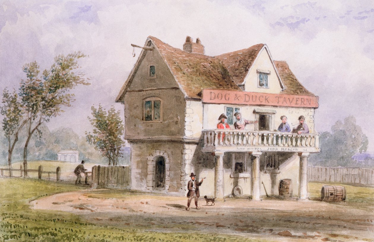 Ansicht des Old Dog and Duck, St. George