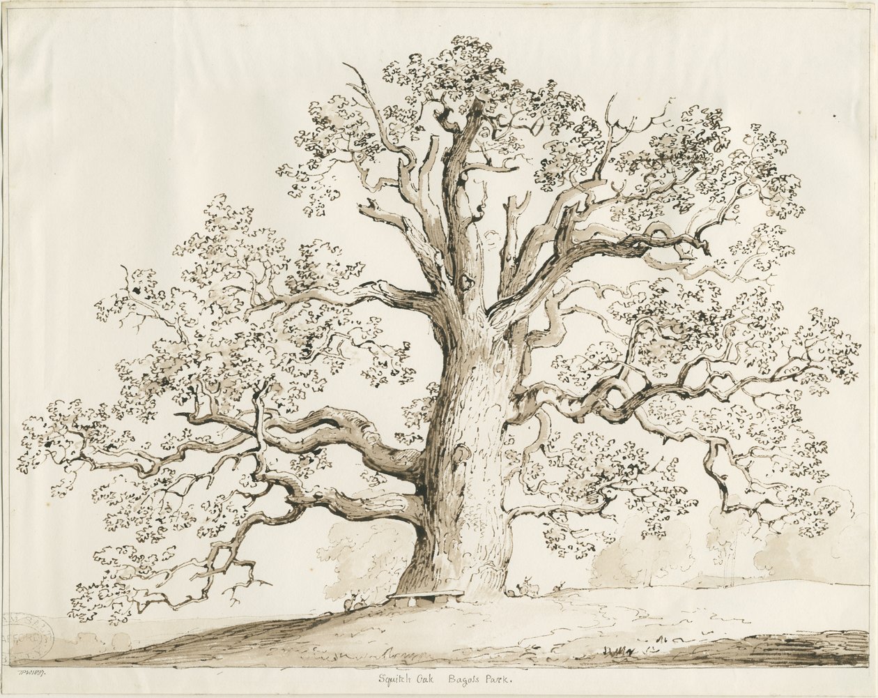 Blithfield - Squitch Eiche (1837) von Thomas Peploe Wood