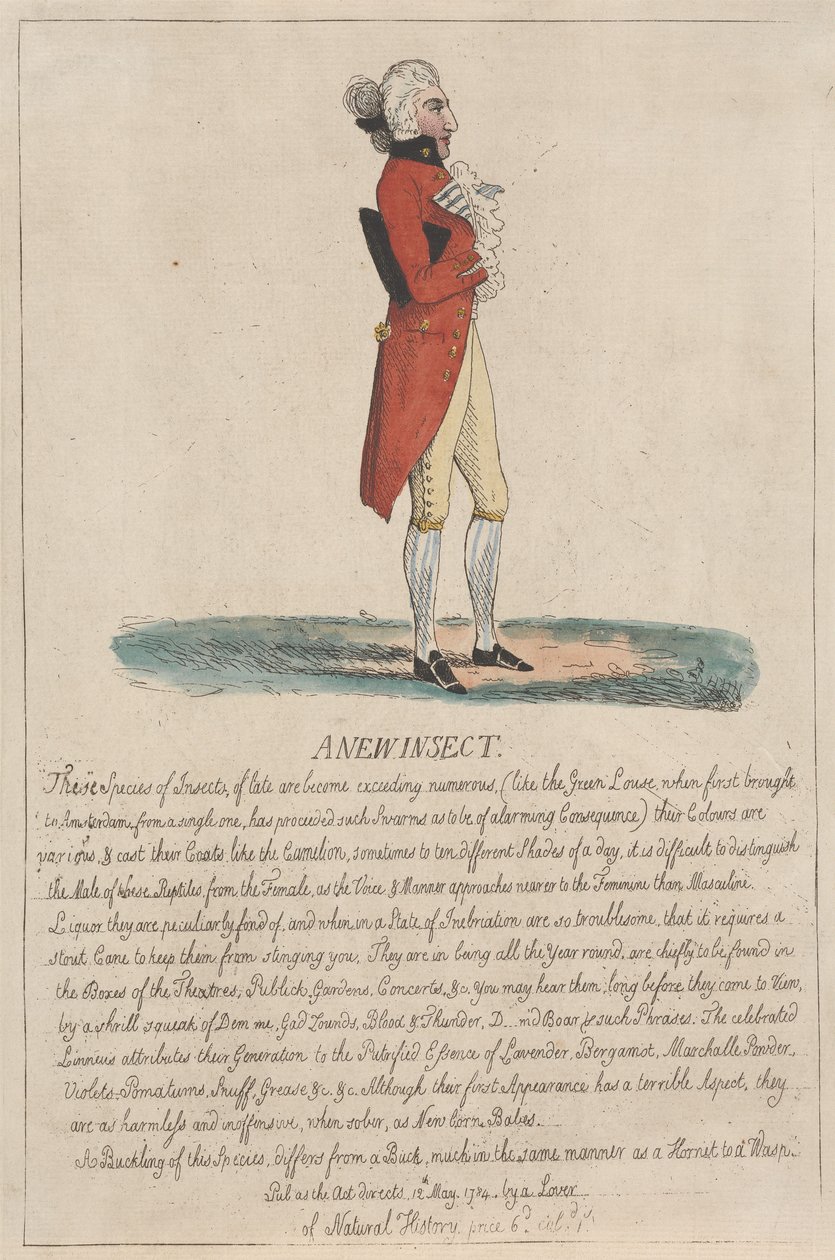 Ein neues Insekt von Thomas Rowlandson