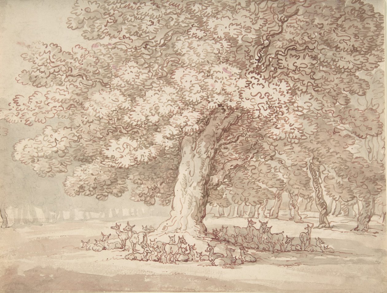 Herde von Hirschen unter einer Eiche, 1775-1827 von Thomas Rowlandson