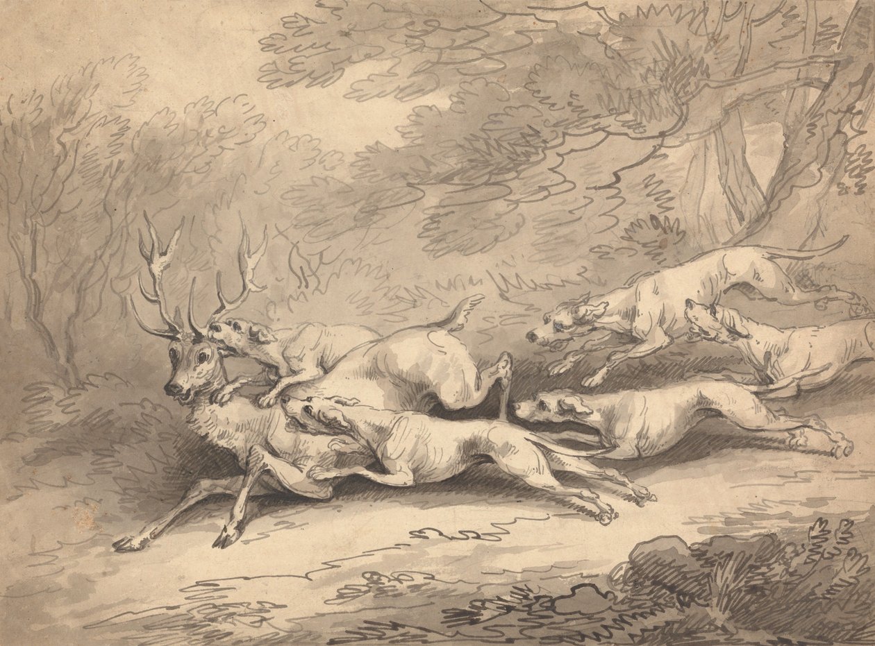 Hirsch von einem Rudel Hunde erlegt von Thomas Rowlandson