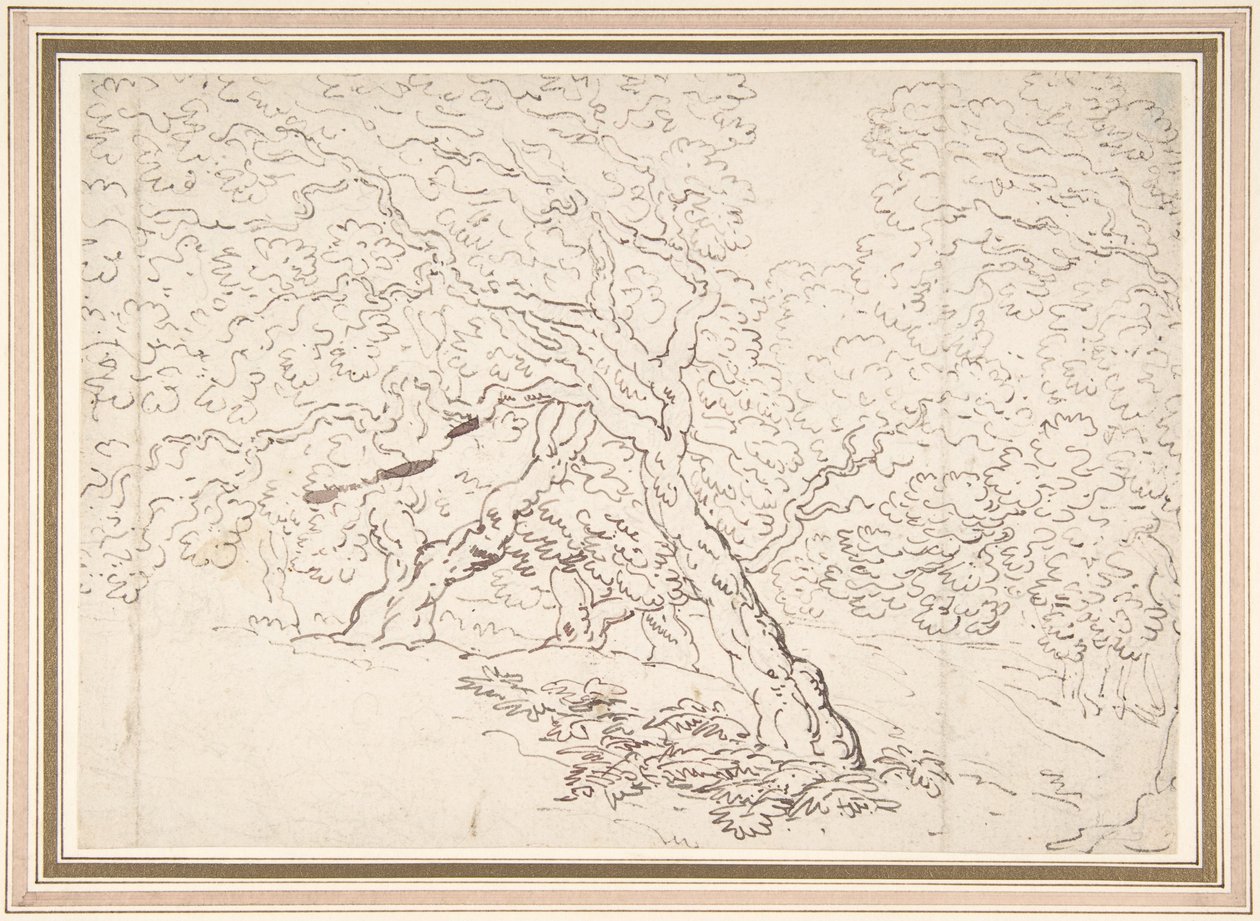 Studie von Bäumen von Thomas Rowlandson