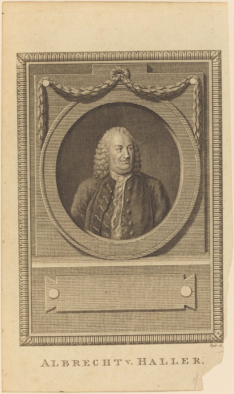 Albrecht V. Haller von Thomas Ryder