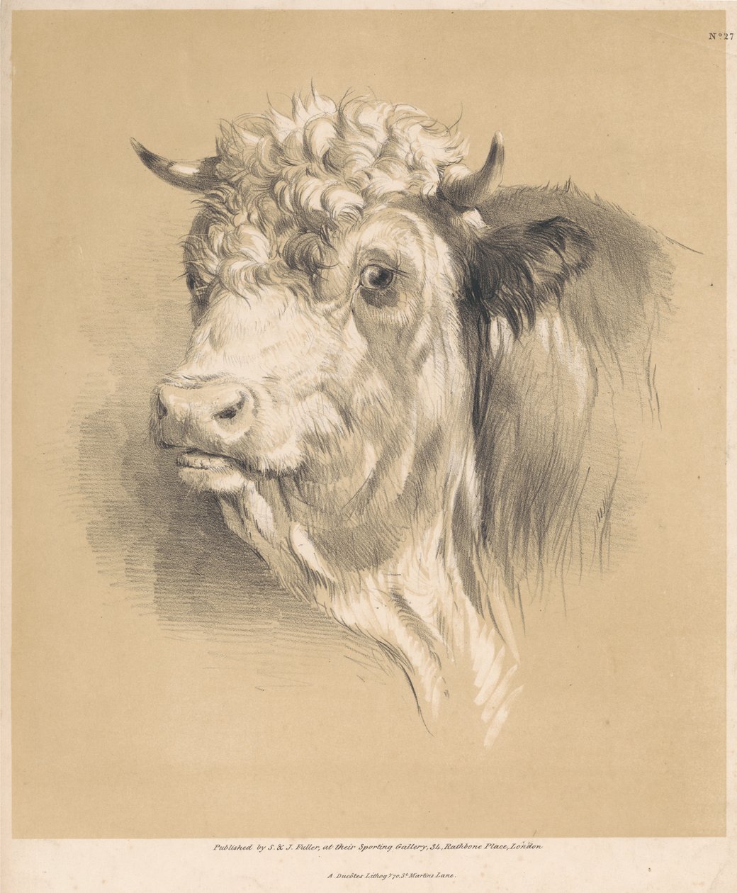 Eine Kuh, Nr. 27 von Thomas Sidney Cooper