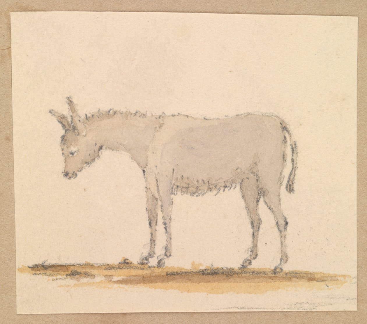 Studie eines Esels, ca. 1820 von Thomas Streatfeild