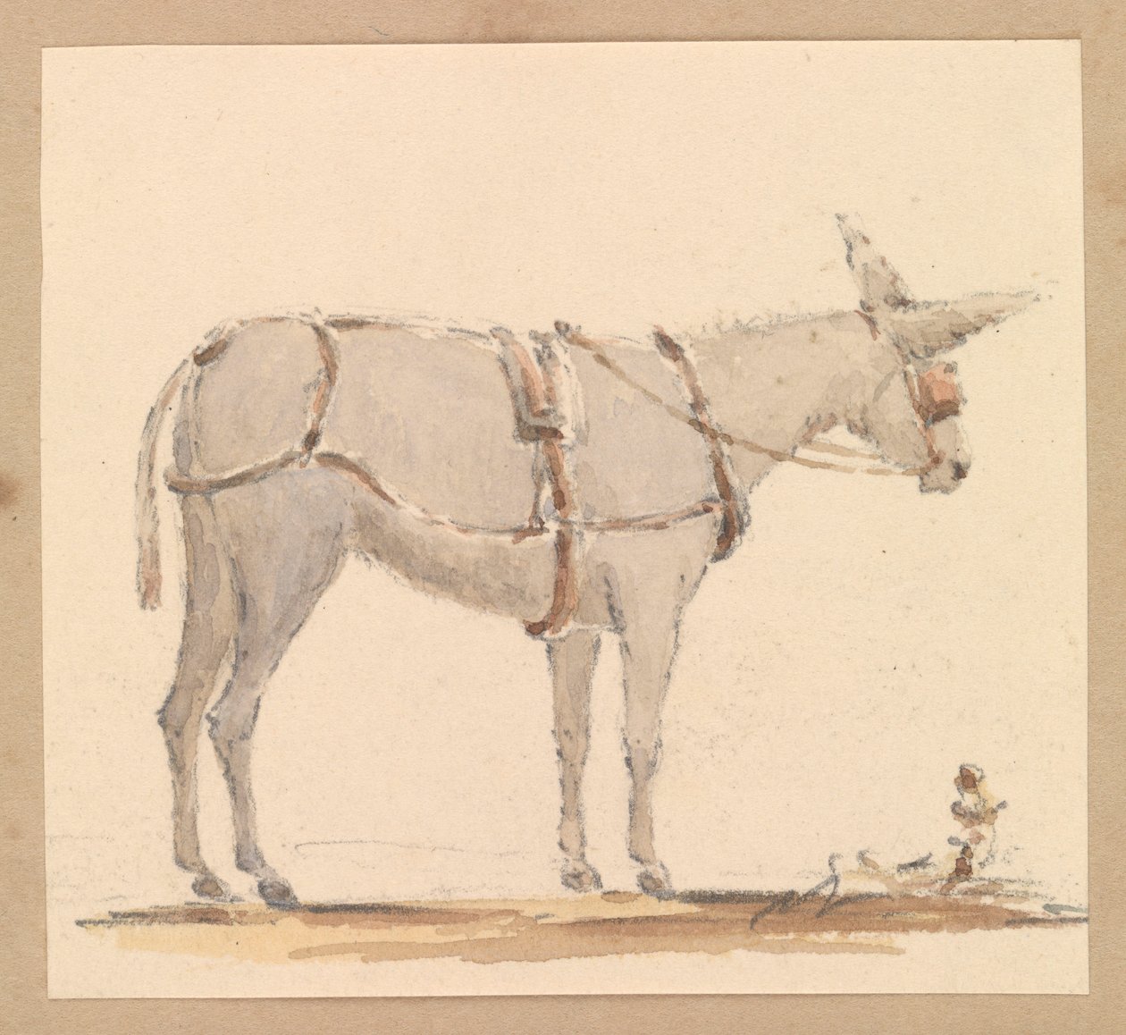 Studie eines Esels mit Zaumzeug und Geschirr, um 1820 von Thomas Streatfeild