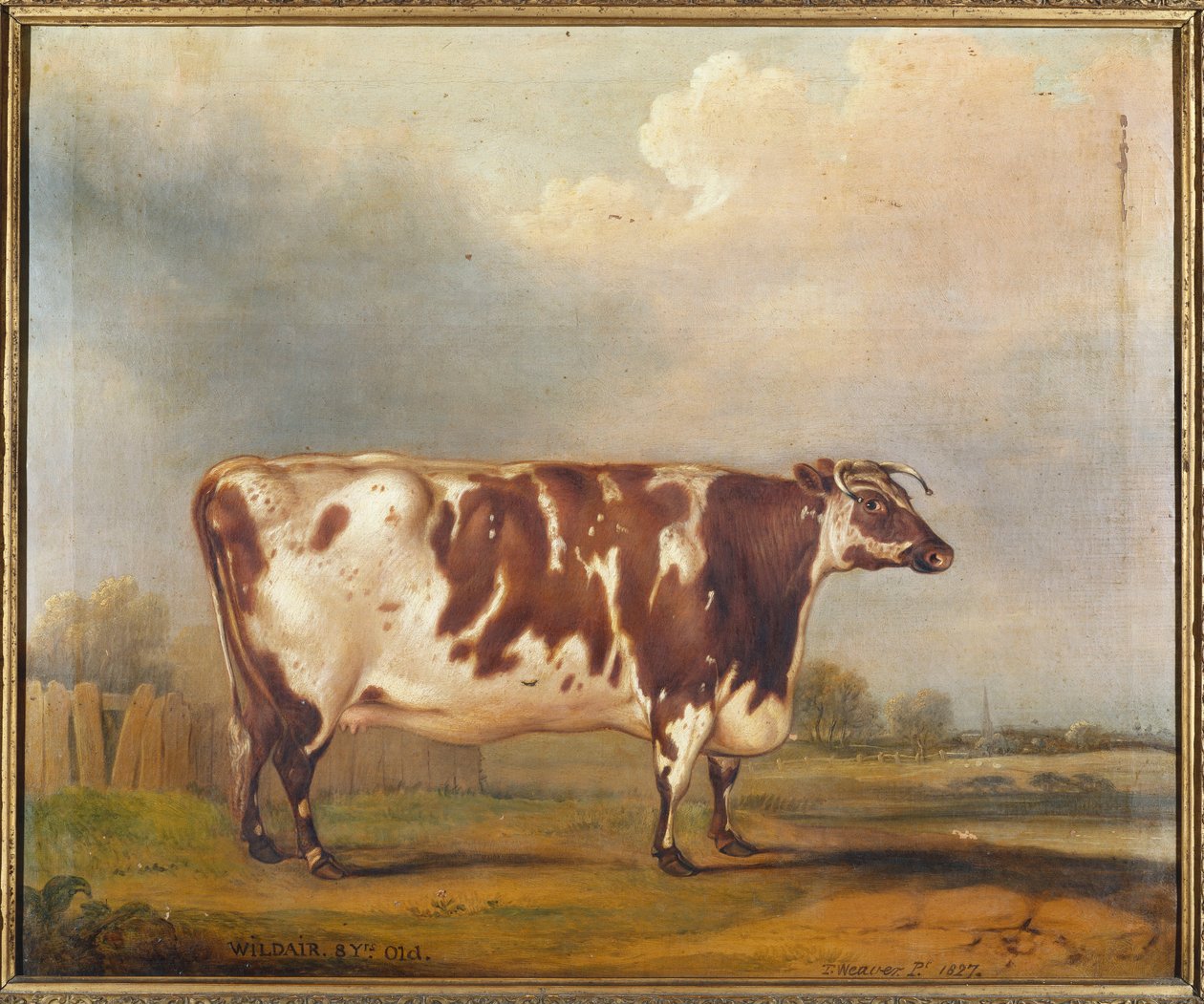 Wildair, eine achtjährige Kuh in einer Flusslandschaft, 1827 von Thomas Weaver