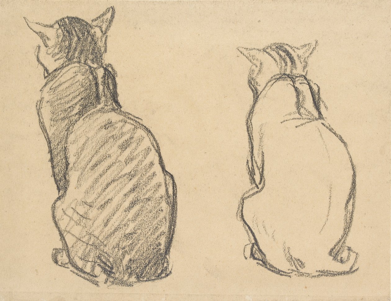 Zwei Studien einer Katze, frühes 20. Jahrhundert von Théophile Alexandre Steinlen