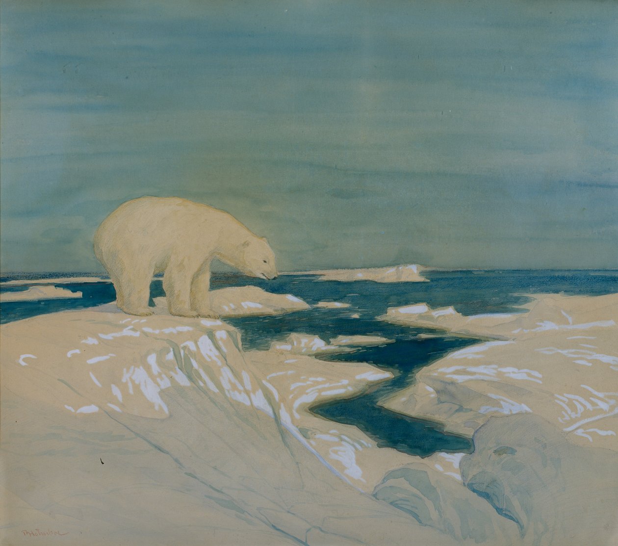 Eisbär von Thorolf Holmboe