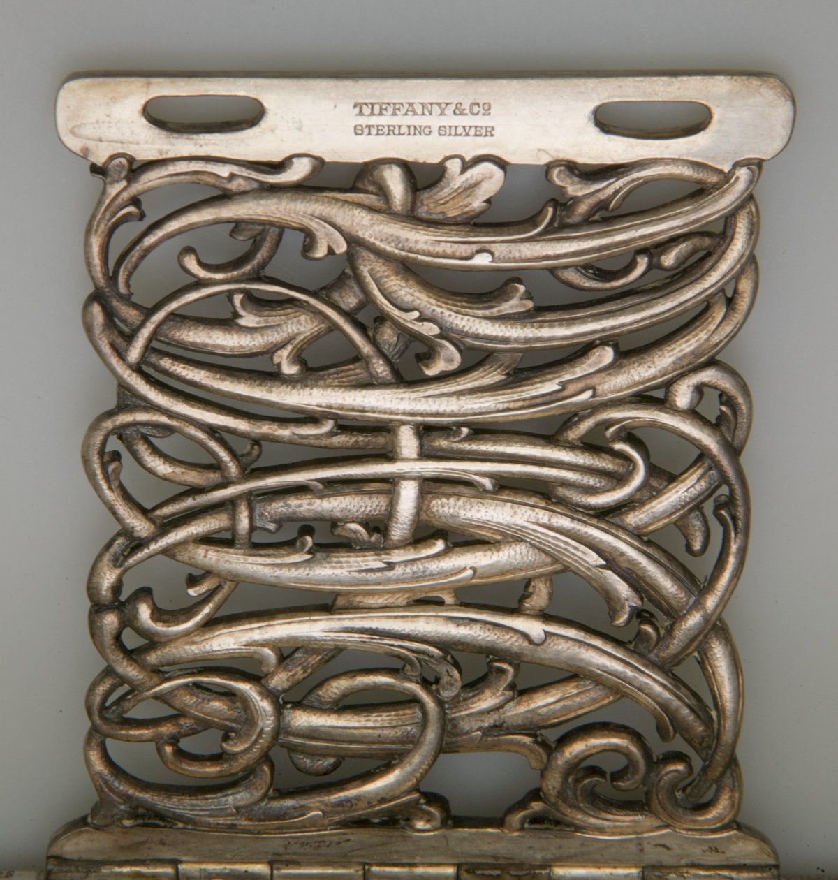 Verschluss von Fotoalbum von Tiffany and Company