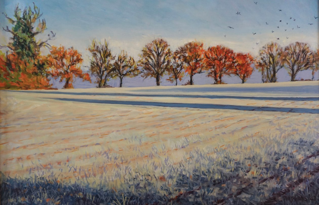 Frost auf dem Feld von Tilly Willis