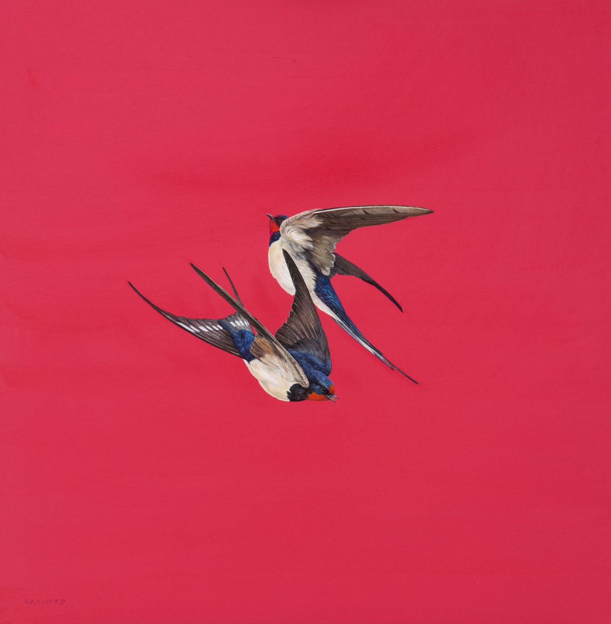 Wirbel-Rot von Tim Hayward