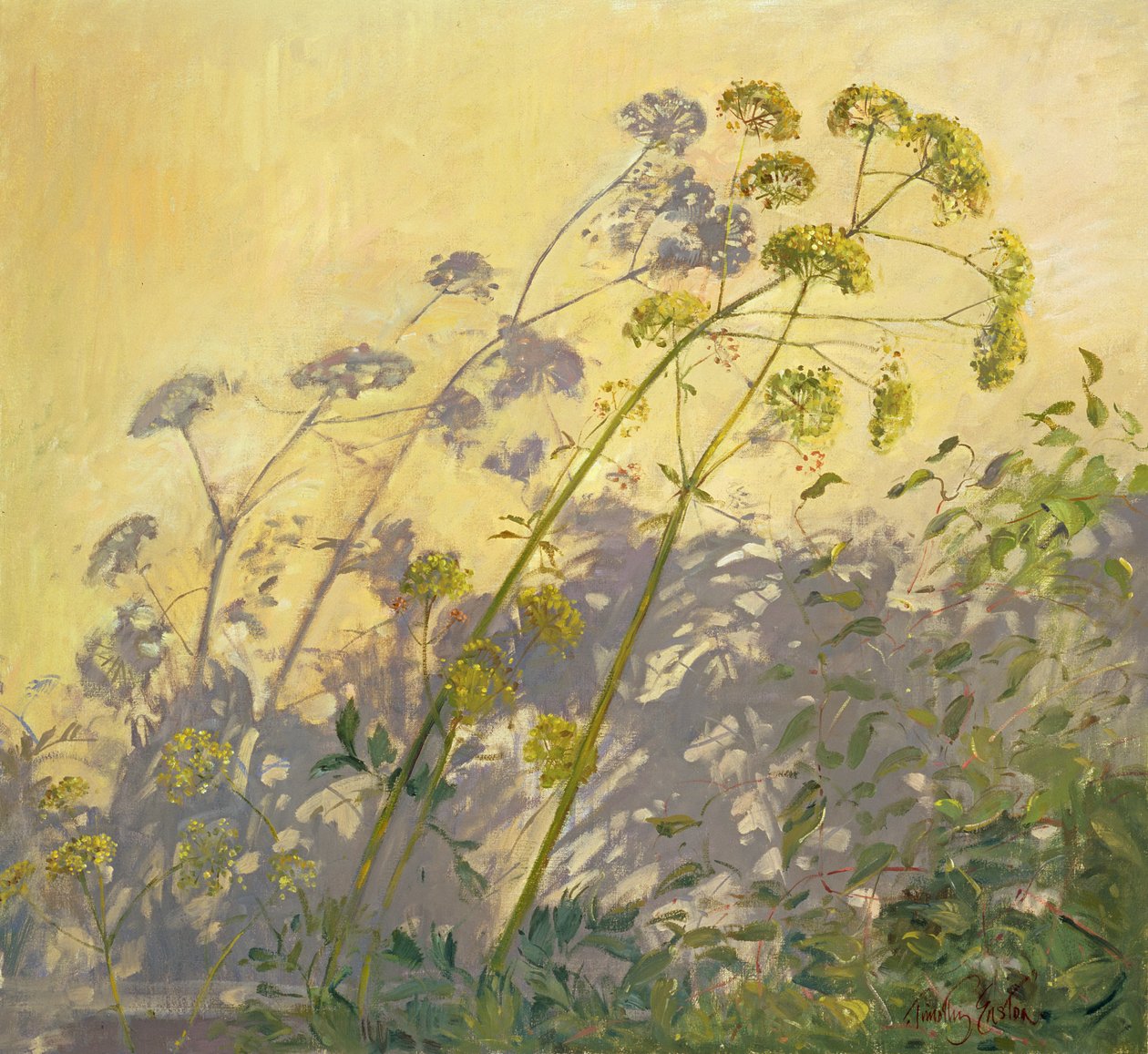 Liebstöckel, Clematis und Schatten, 1999 von Timothy Easton