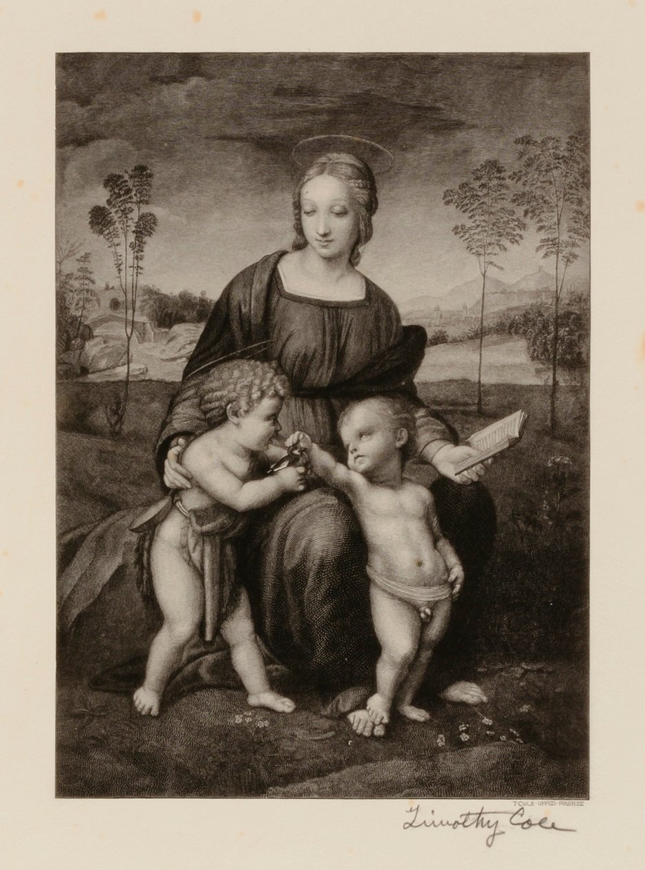 Alte italienische Meister von Timothy Cole