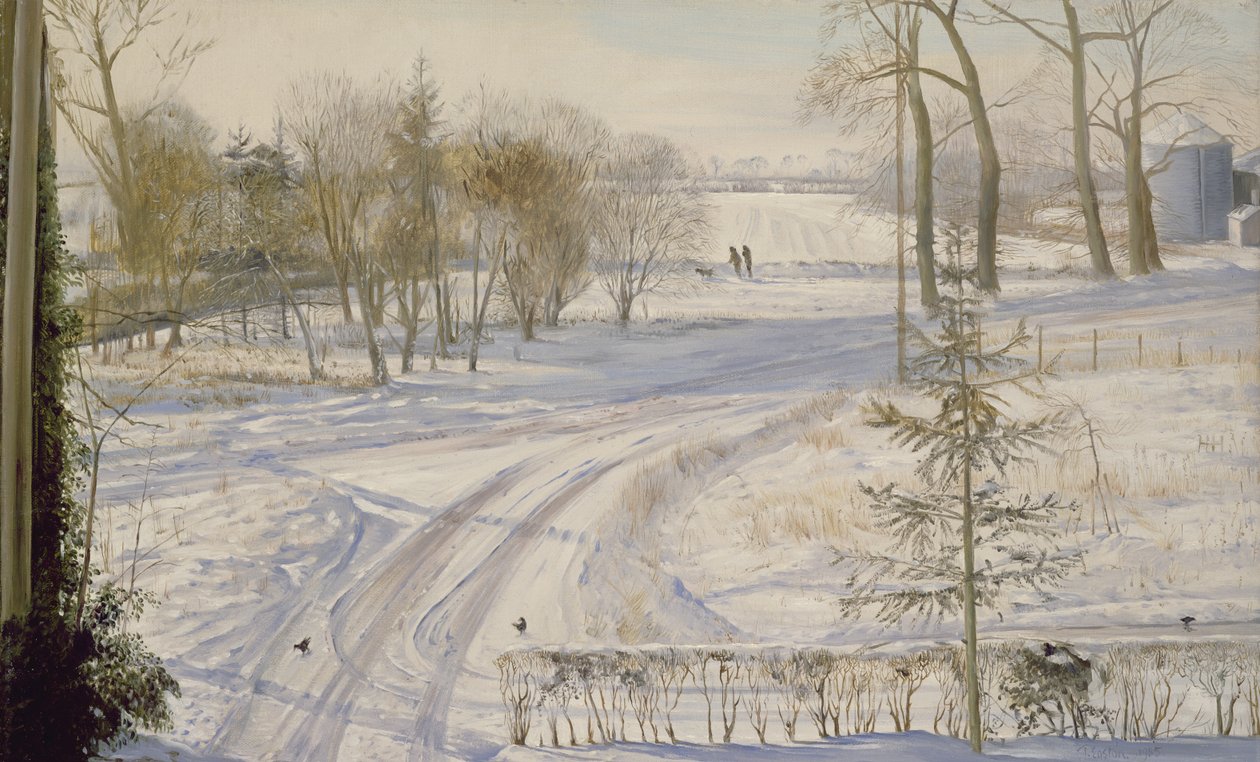 Teichhühner auf der Suche von Timothy Easton