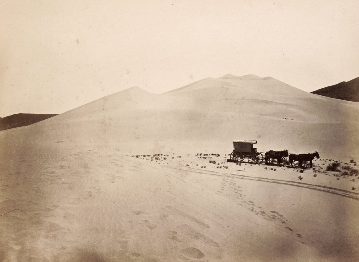 Sanddünen, Carson-Wüste, Nevada von Timothy H. O
