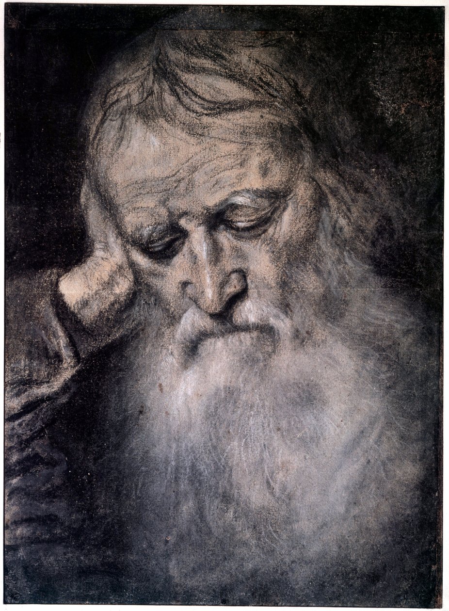 Kopf eines alten Mannes von Tiziano Vecelli
