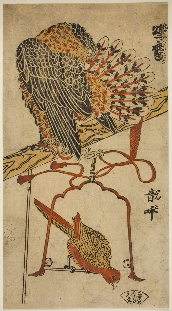 Sperber und Ara (Konori taka, inko) von Torii Kiyomasu I