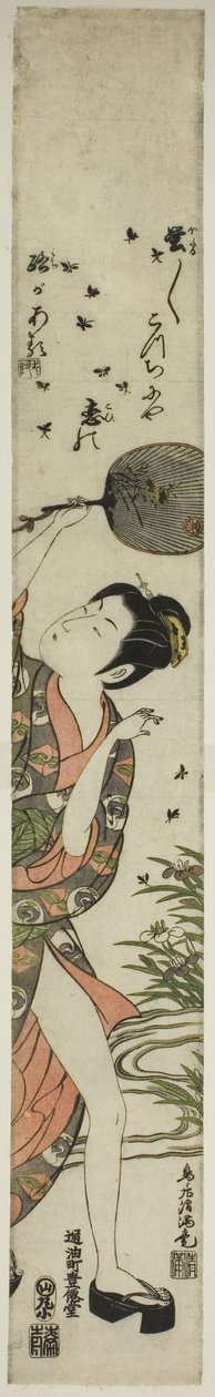 Glühwürmchen jagen von Torii Kiyomitsu I