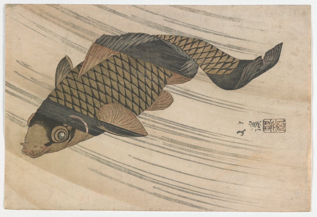 Karpfen schwimmen stromaufwärts, Edo-Periode, Mitte der 1820er Jahre von Toyota Hokkei