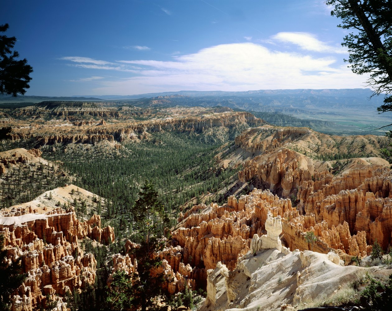 Bryce Canyon Nationalpark, Utah von Unbekannt Unbekannt