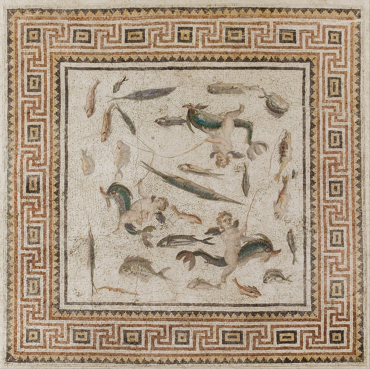 Marine-Mosaik (zentrales Panel von drei Panels eines Bodens) von Unbekannt Unbekannt