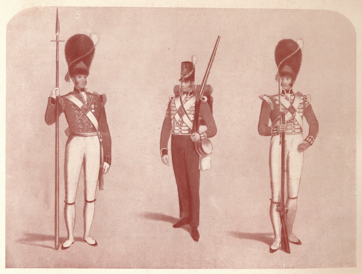 1. oder Grenadierregiment der Garde im Jahr 1815 von Unbekannt