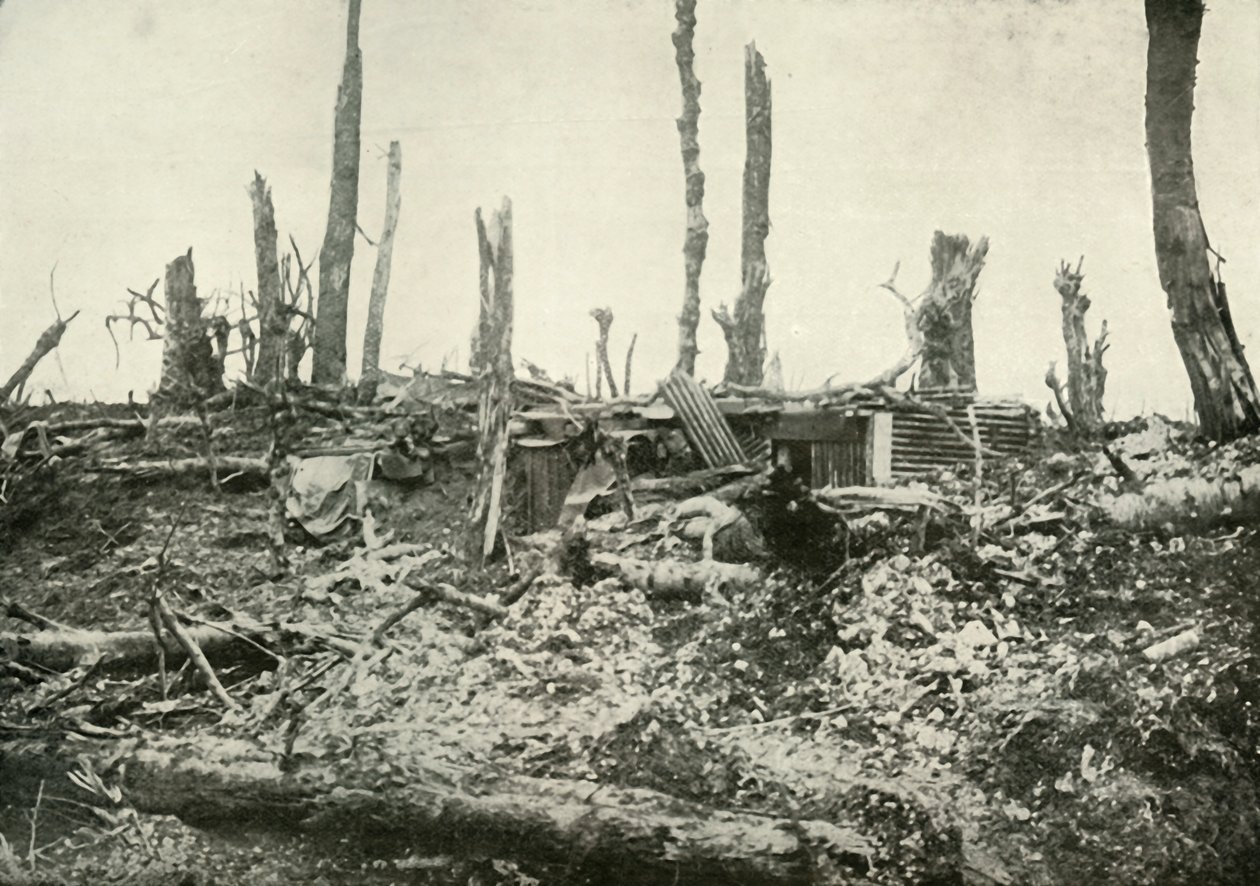 Ein Unterstand in einem einst idyllischen Wald, 1919 von Unbekannt