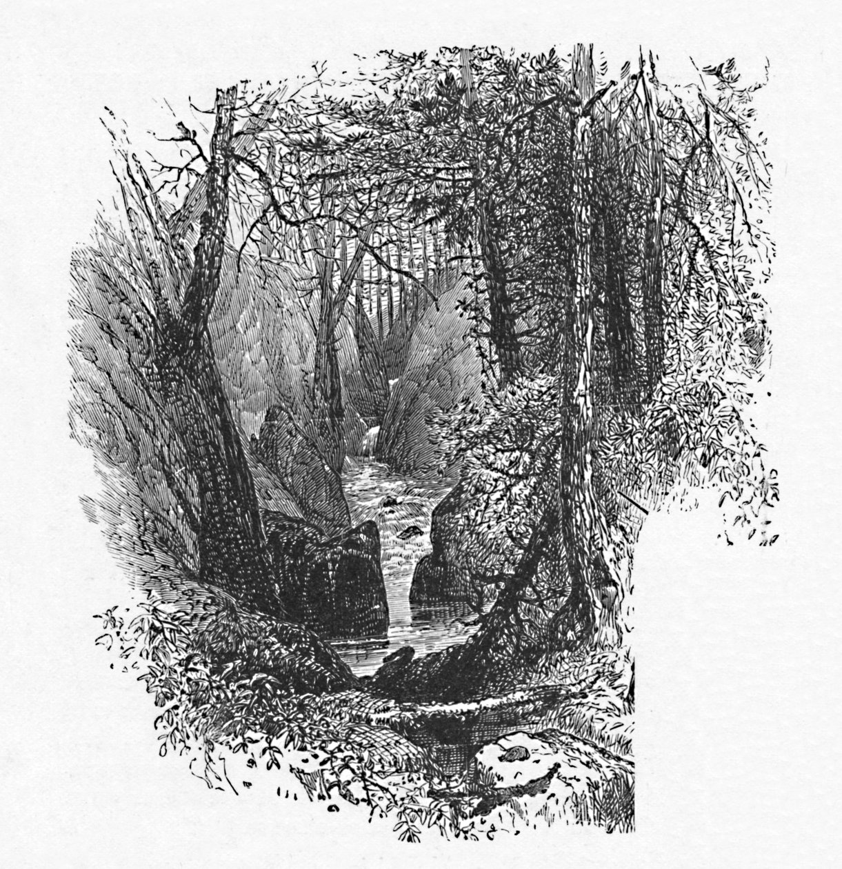 Ein Zufluss zum See, 1883 von Unbekannt