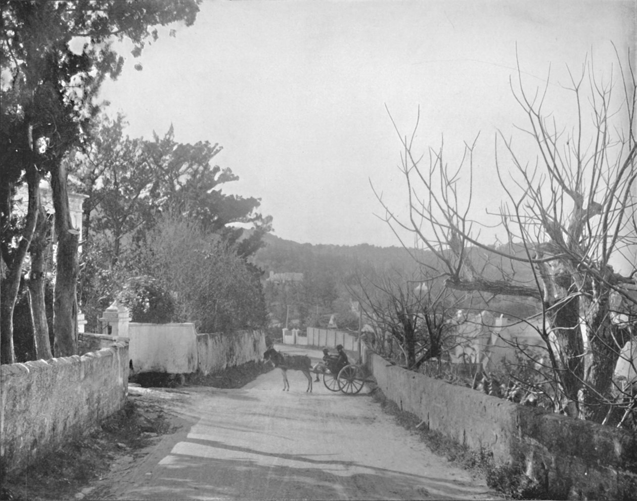 Eine Straße in Port Royal, Bermuda, 19. Jahrhundert von Unbekannt