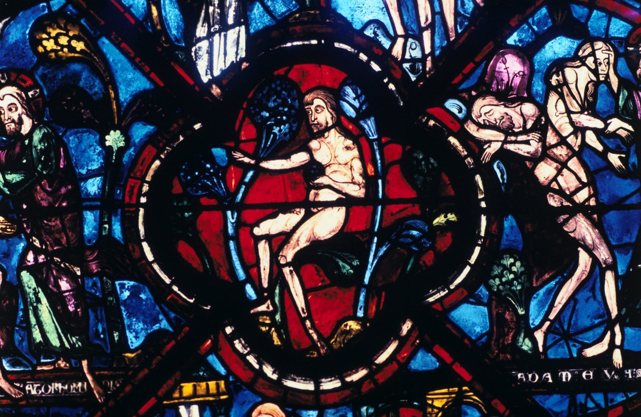 Adam im Eden, Buntglas, Kathedrale von Chartres, Frankreich, 1205-1215 von Unbekannt