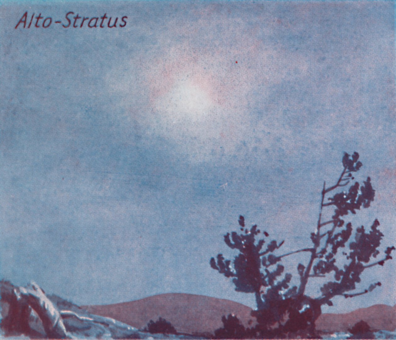Alto-Stratus - Ein Dutzend der wichtigsten Wolkenformen am Himmel von Unbekannt