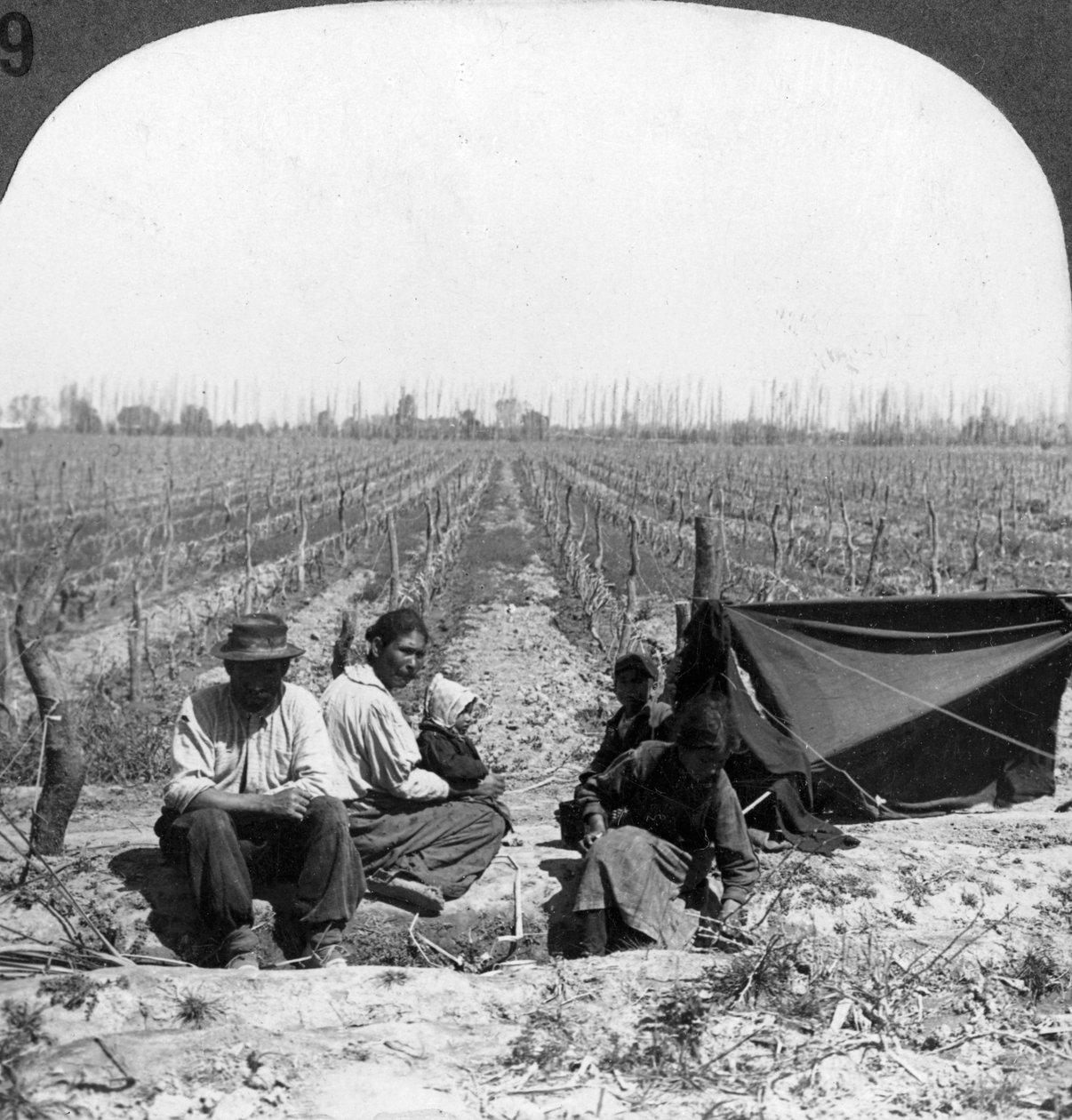 Ein italienischer Siedler und seine Familie, Mendoza, Argentinien, 1900er Jahre von Unbekannt