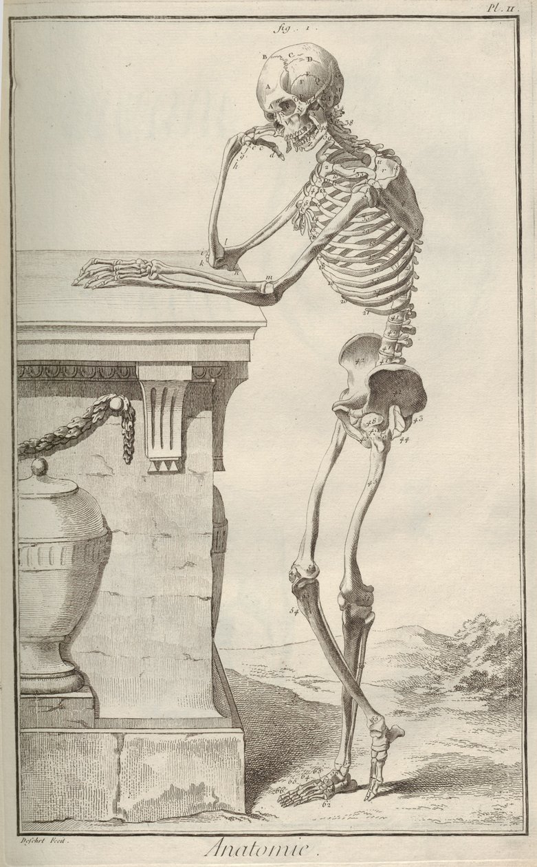 Anatomie. Aus der Encyclopédie von Denis Diderot und Jean Le Rond d