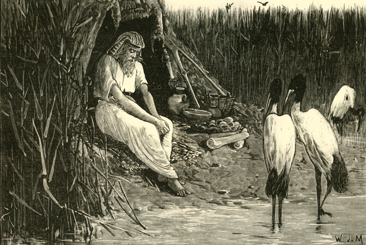 Anysis versteckt sich in den Sümpfen des Deltas, 1890 von Unbekannt