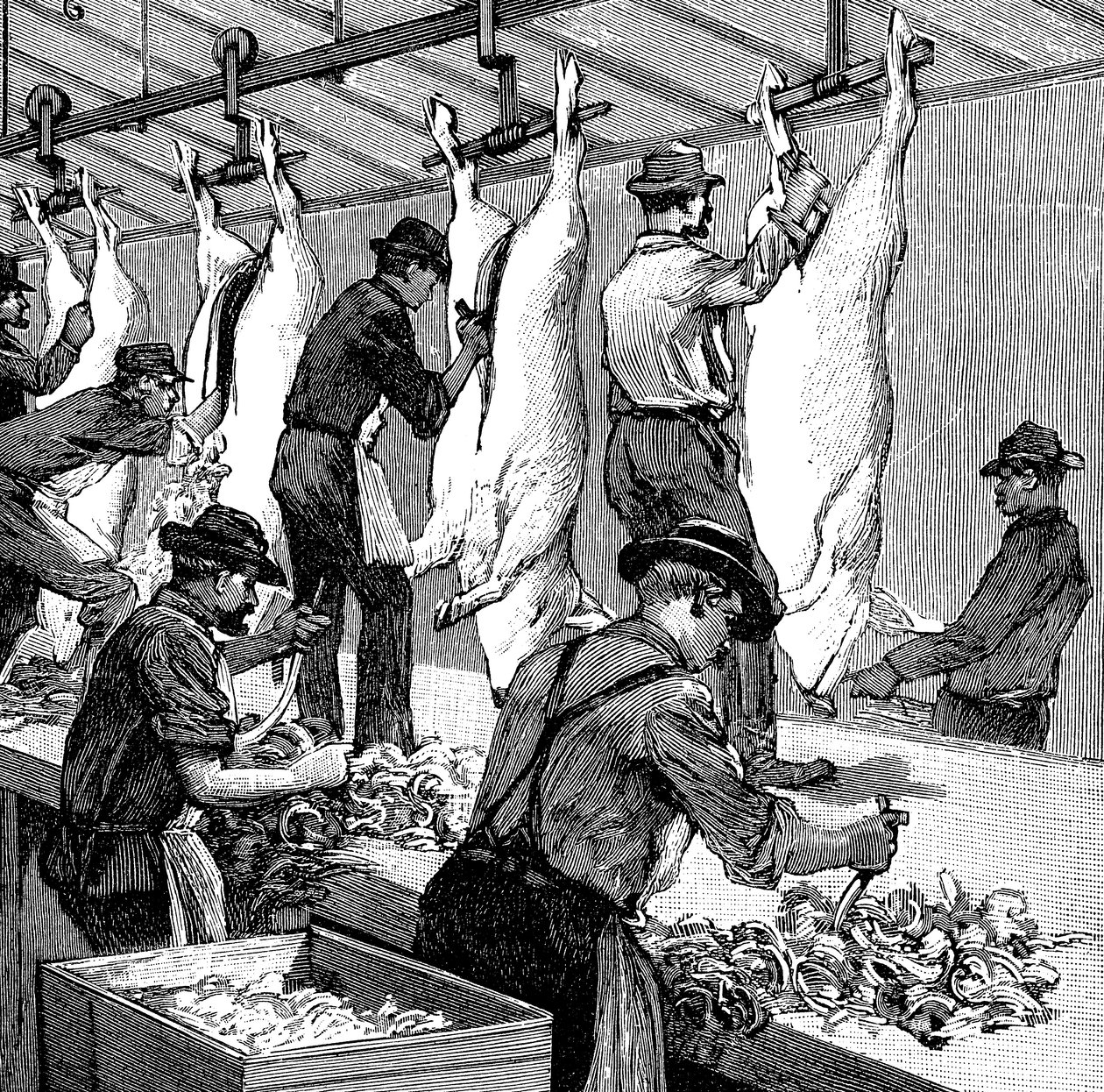 Schlachthaus der Armour Company, Chicago, Illinois, USA, 1892 von Unbekannt