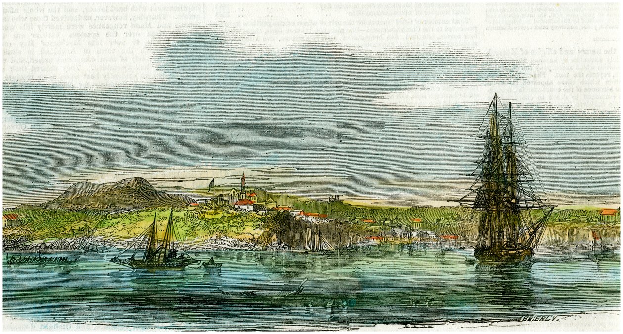 Auckland, Neuseeland, um 1880 von Unbekannt