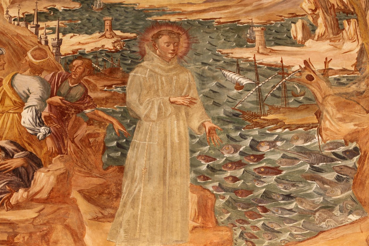 Basilika di Santa Caterina, Galatina, Apulien, Fresko im Kreuzgang: St. Antonius predigt den Fischen, Gemalt von Br. Joseph von Gravina im Jahr 1696, Galatina, Italien von Unbekannt