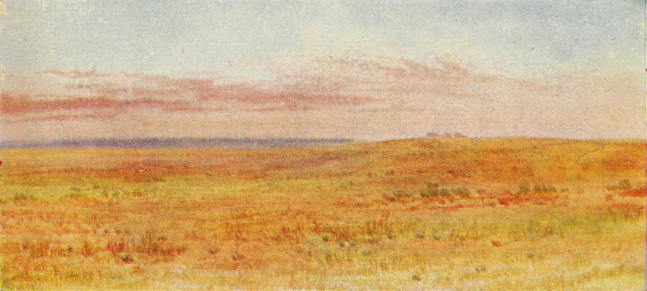 Kanadische Prärie, 1924 von Unbekannt