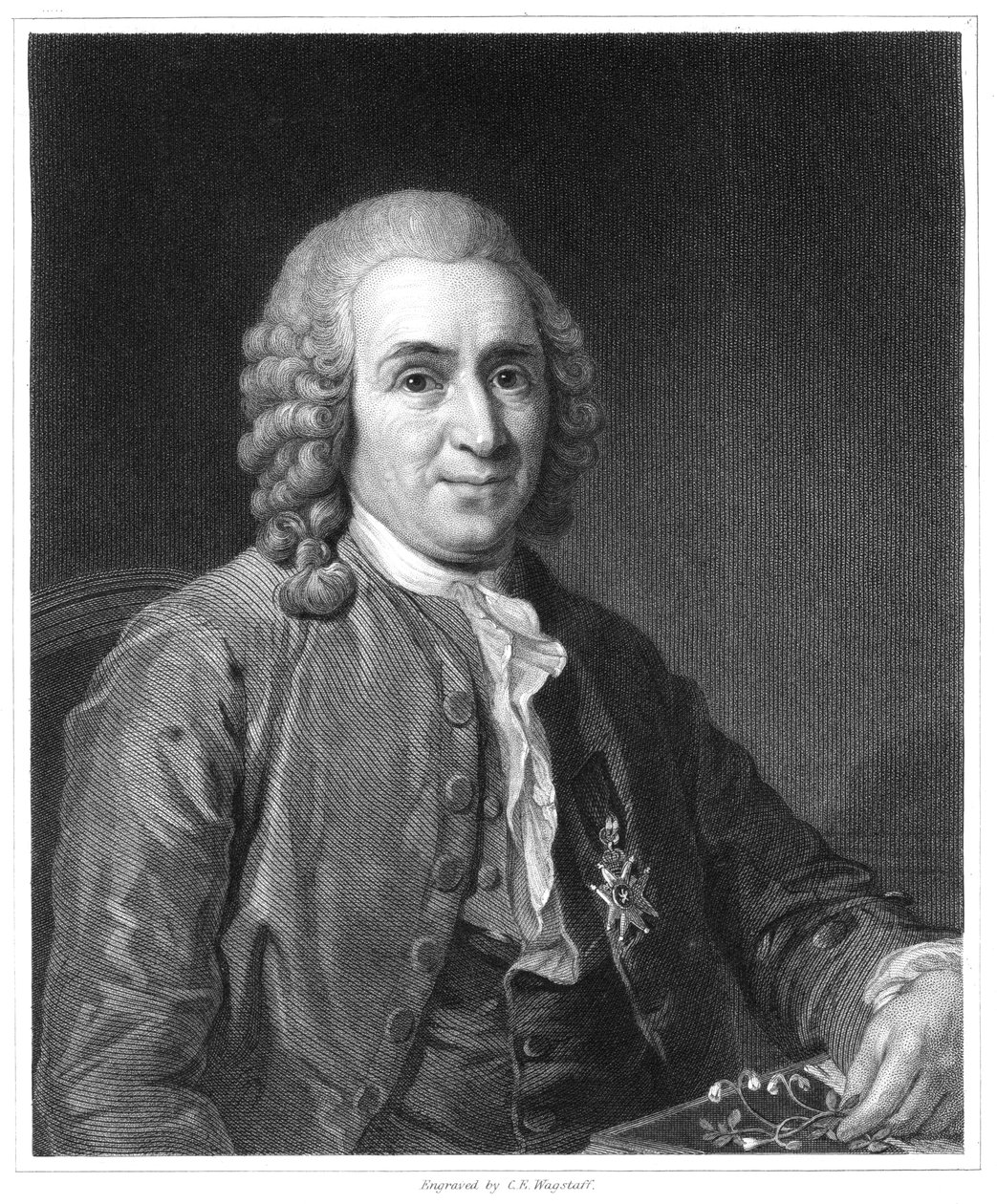 Carolus Linnaeus, schwedischer Naturforscher des 18. Jahrhunderts, 1835 von Unbekannt