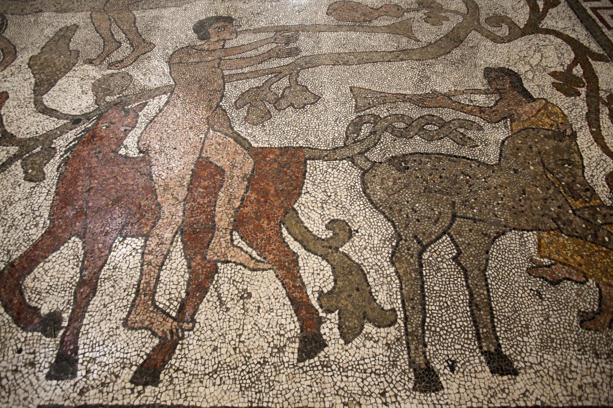 Zentrales Schiffs-Mosaik auf dem Boden des Otranto-Duomo: Reiter, Otranto, Italien von Unbekannt