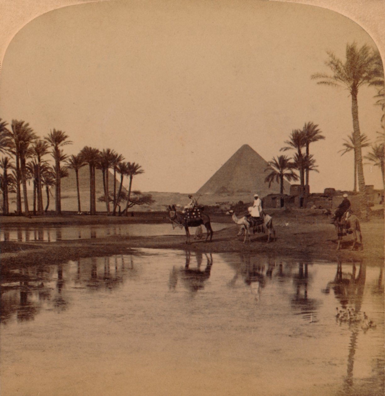Cheops aus dem fruchtbaren Tal des Nils, Ägypten, 1896 von Unbekannt