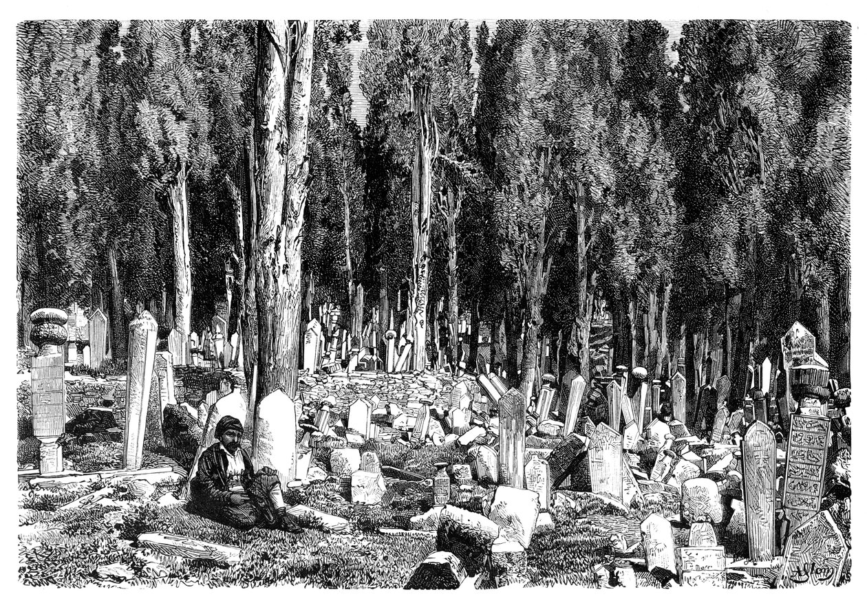 Zypressen im Friedhof von Scutari, Türkei, 1895 von Unbekannt