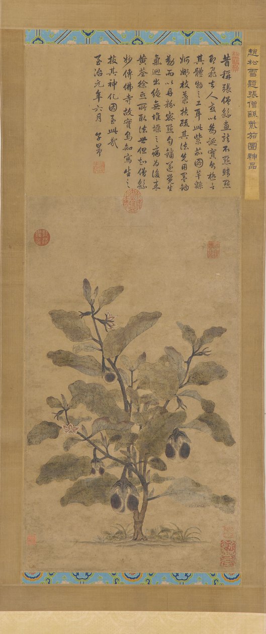 Aubergine, Ming-Dynastie von Unbekannt