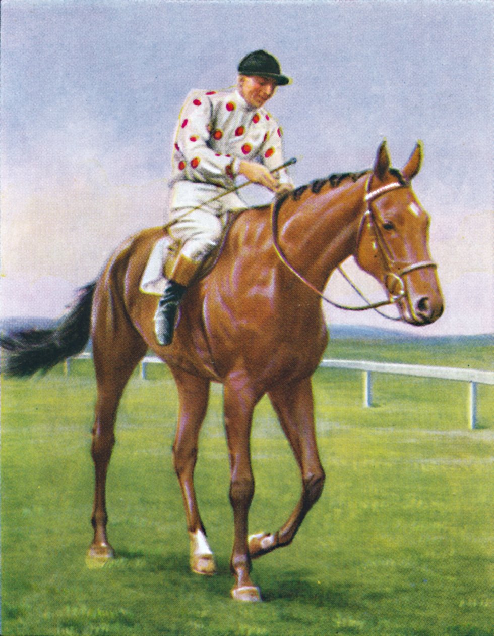 Foxbrough II, Jockey: P. Beasley von Unbekannt