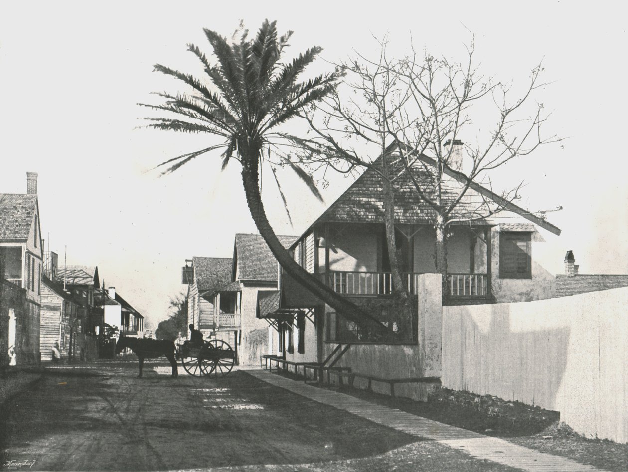 Francis Street, St. Augustine, USA, 1895 von Unbekannt