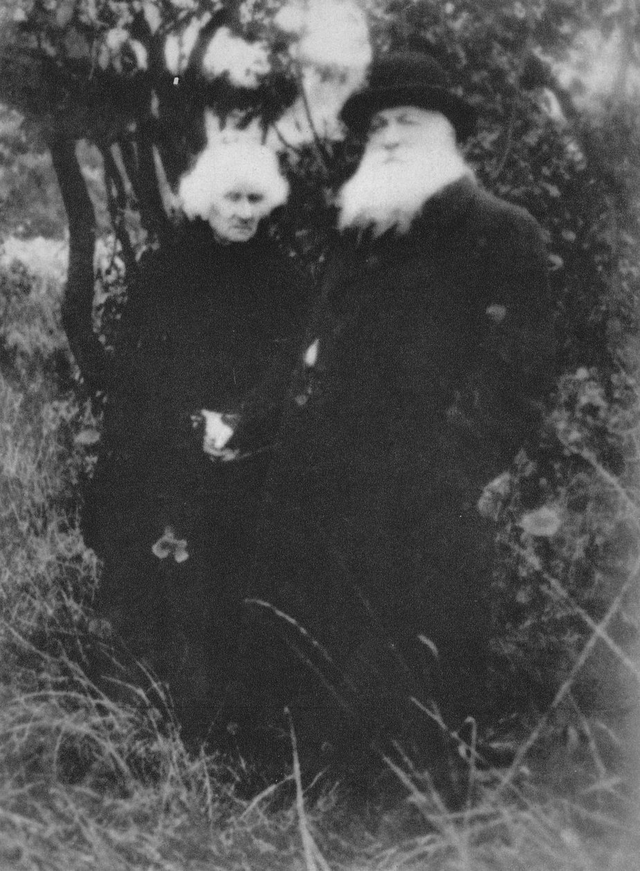 Der französische Bildhauer Auguste Rodin im Park seiner Villa in Meudon, 1916 von Unbekannt
