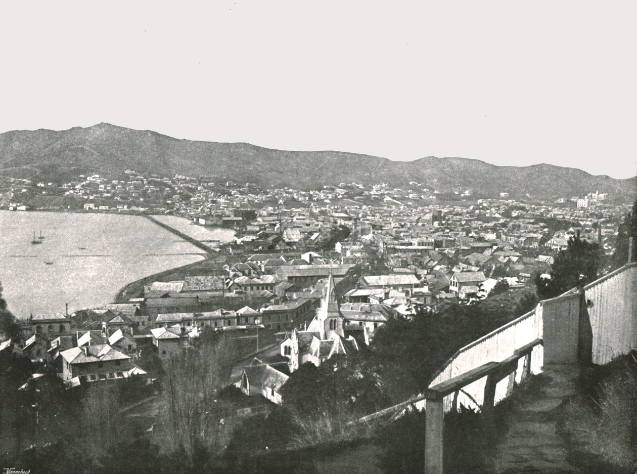 Gesamtansicht der Stadt, Wellington, Neuseeland, 1895 von Unbekannt